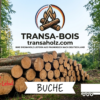 Stammholz Buche – LKW-Ladung (wahlweise ganz oder halb)