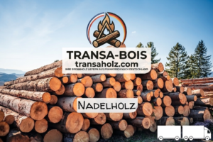 Stammholz Nadelholz – LKW-Ladung flexibel
