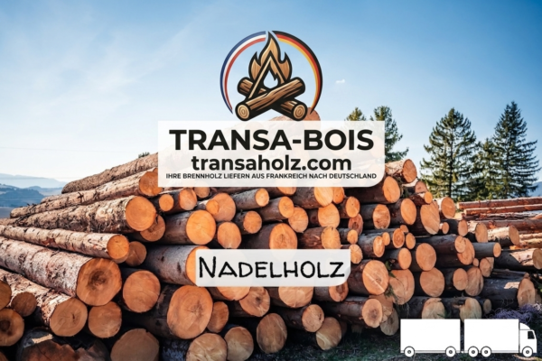 Stammholz Nadelholz – LKW-Ladung flexibel