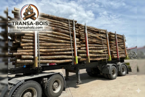 Aktionssortiment Buche / Esche – LKW-Ladung (ca. 45 RM)