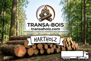 Stammholz Hartholz / Laubholz – LKW-Ladung (20 - 40  RM)